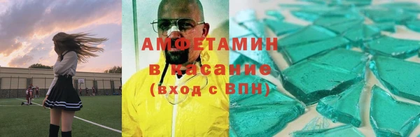 ГАЛЛЮЦИНОГЕННЫЕ ГРИБЫ Богданович