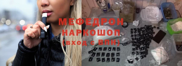 spice Богородицк