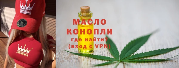 spice Богородицк