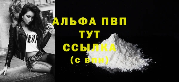 ГАЛЛЮЦИНОГЕННЫЕ ГРИБЫ Богданович