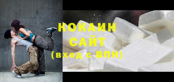 spice Богородицк