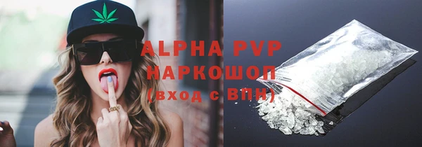 ГАЛЛЮЦИНОГЕННЫЕ ГРИБЫ Богданович