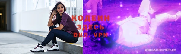 spice Богородицк