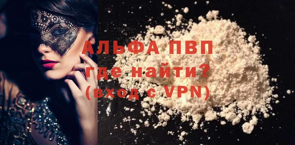 ГАЛЛЮЦИНОГЕННЫЕ ГРИБЫ Богданович