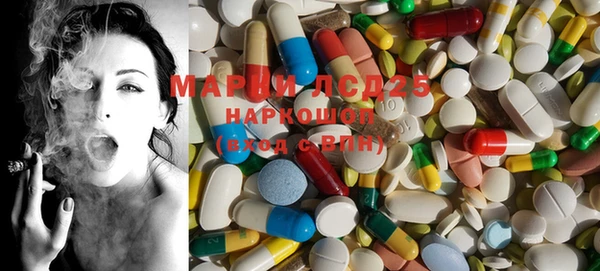 spice Богородицк