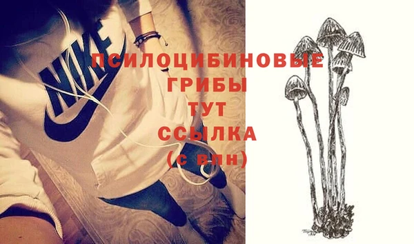 ГАЛЛЮЦИНОГЕННЫЕ ГРИБЫ Богданович