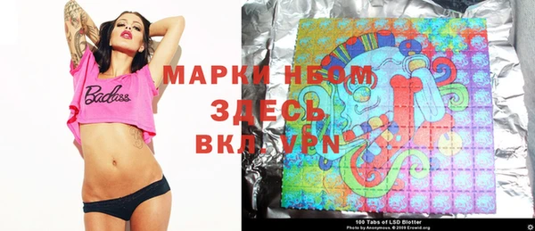 ГАЛЛЮЦИНОГЕННЫЕ ГРИБЫ Богданович