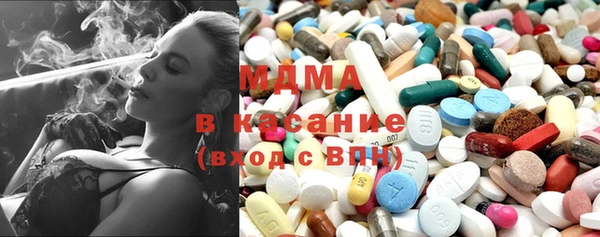 spice Богородицк