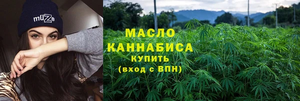 spice Богородицк