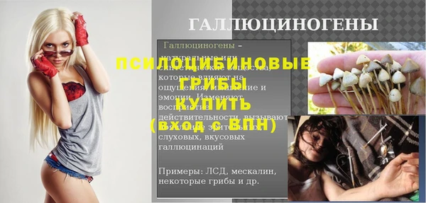 ГАЛЛЮЦИНОГЕННЫЕ ГРИБЫ Богданович