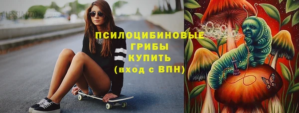 ГАЛЛЮЦИНОГЕННЫЕ ГРИБЫ Богданович