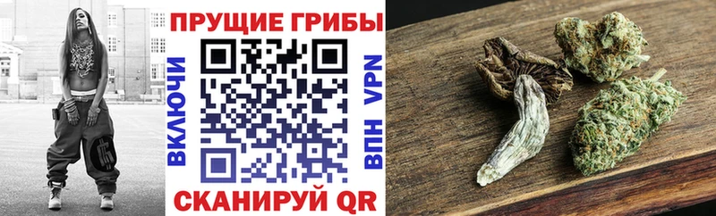 Галлюциногенные грибы ЛСД  Гороховец 